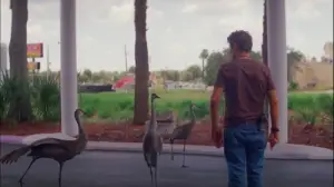 Задник к фильму "Проект «Флорида»" #709846