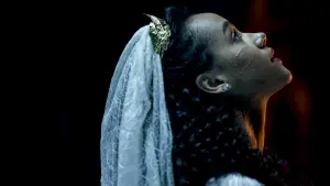 Задник к фильму "Приглашение" #298036