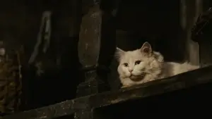 Задник к фильму "Парфюмер: История одного убийцы" #630920