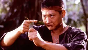 Задник к фильму "Восточные кондоры" #391674