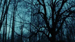 Задник к фильму "Тело Дженнифер" #664249