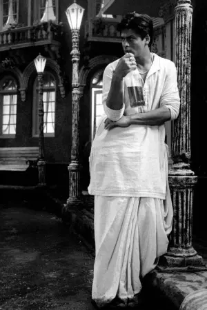 Постер к фильму "Девдас" #208785