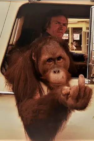 Постер к фильму "Как ни крути – проиграешь" #302238