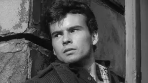 Задник к фильму "Тигровая бухта" #496750