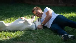 Задник к фильму "Пропала собака" #384463