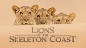 Задник к фильму "Lions of the Skeleton Coast" #880744