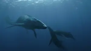 Задник к фильму "Мир Юрского периода: Господство" #565083