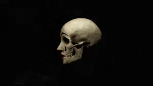 Задник к фильму "Призраки в Венеции" #266564