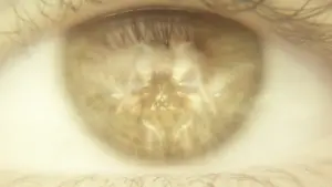 Задник к фильму "Годзилла и Конг: Новая Империя" #565520