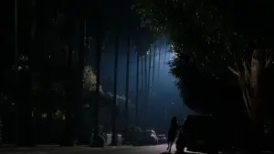 Задник к фильму "Малхолланд Драйв" #608793