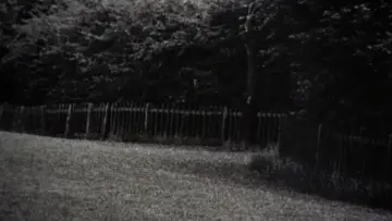 Задник к фильму "Фотоувеличение" #906602