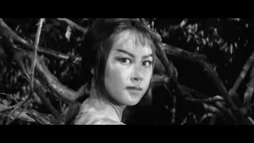 Задник к фильму "Трое негодяев в скрытой крепости" #1201990