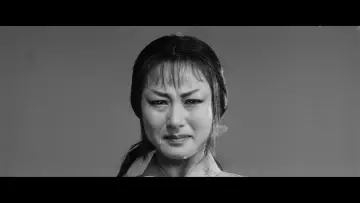 Задник к фильму "Трое негодяев в скрытой крепости" #1201993