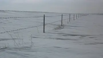 Задник к фильму "Фарго" #1198607