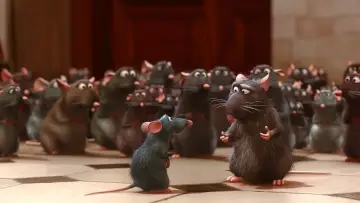 Задник к фильму "Рататуй" #561536
