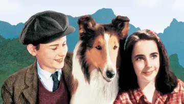 Задник к фильму "Лесси возвращается домой" #1097303