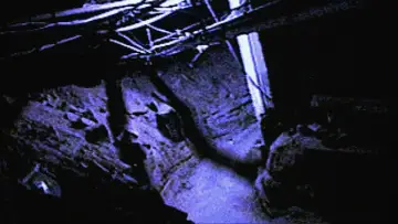 Задник к фильму "Дом 1000 трупов" #867748