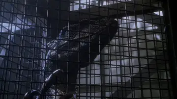Задник к фильму "Парк юрского периода 3" #634517