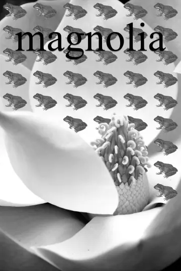 Постер к фильму "Магнолия" #1532831