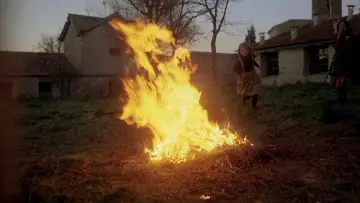 Задник к фильму "Дух улья" #985707