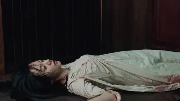 Задник к фильму "История двух сестер" #811000