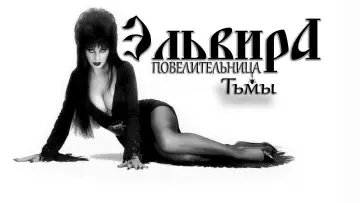 Задник к фильму "Эльвира: Повелительница тьмы" #808392