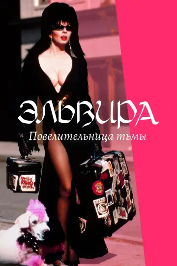 Постер к фильму "Эльвира: Повелительница тьмы" #997760