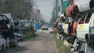Задник к фильму "Фейерверк" #944431
