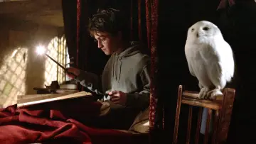 Задник к фильму "Гарри Поттер и узник Азкабана" #165496
