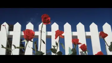 Задник к фильму "Синий бархат" #204301
