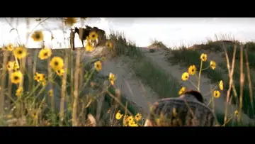 Задник к фильму "Три могилы" #992157