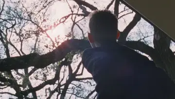 Задник к фильму "Древо жизни" #852814