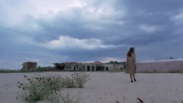 Задник к фильму "Древо жизни" #852820