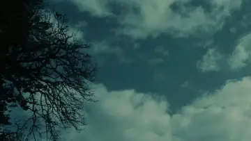 Задник к фильму "Сумерки" #960105
