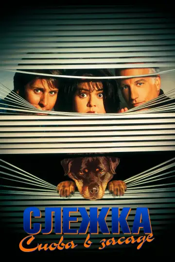 Постер к фильму "Слежка 2: Снова в засаде" #1168674