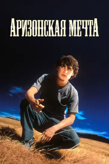 Постер к фильму "Аризонская мечта" #990193