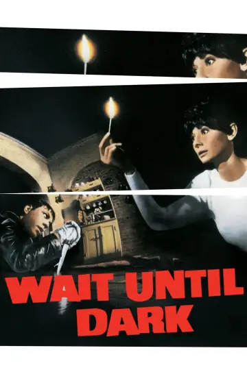 Постер к фильму "Дождись темноты" #133015
