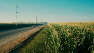 Задник к фильму "Информатор!" #1001386