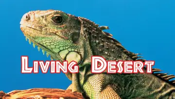 Задник к фильму "The Living Desert" #1620599
