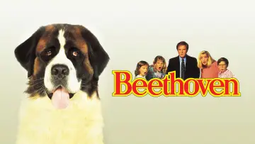 Задник к фильму "Бетховен" #856422