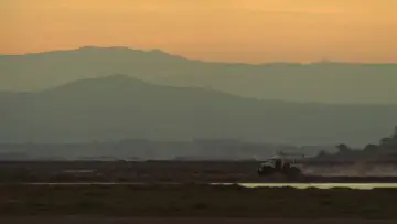 Задник к фильму "Тридцать семь и два по утрам" #485170
