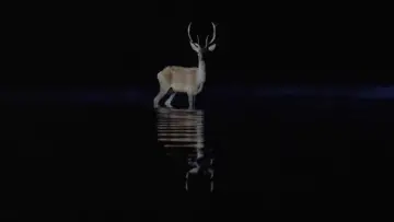 Задник к фильму "Андеграунд" #754492