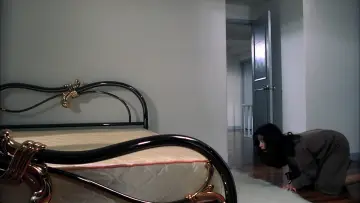 Задник к фильму "Да здравствует любовь" #1635735