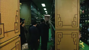 Задник к фильму "Да здравствует любовь" #1635744