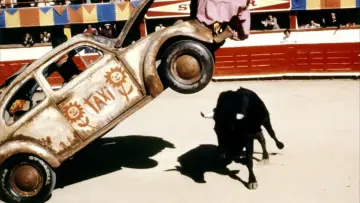 Задник к фильму "Herbie Goes Bananas" #347714