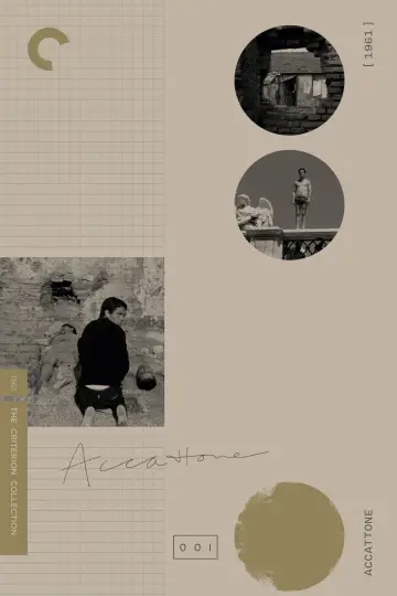 Постер к фильму "Аккатоне" #755099