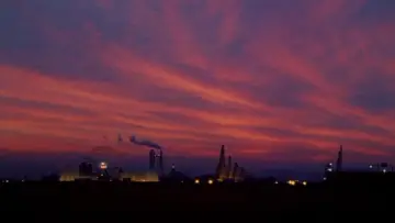 Задник к фильму "Театр ужасов якудза: Годзу" #1123158