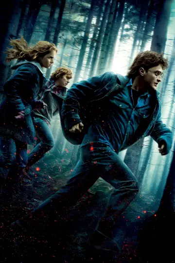 Постер к фильму "Гарри Поттер и Дары Смерти: Часть I" #166070