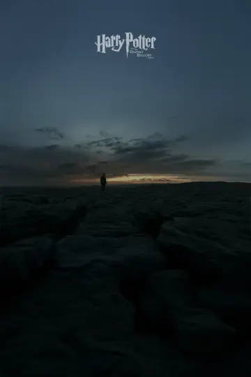 Постер к фильму "Гарри Поттер и Дары Смерти: Часть I" #166078