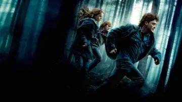 Задник к фильму "Гарри Поттер и Дары Смерти: Часть I" #911420